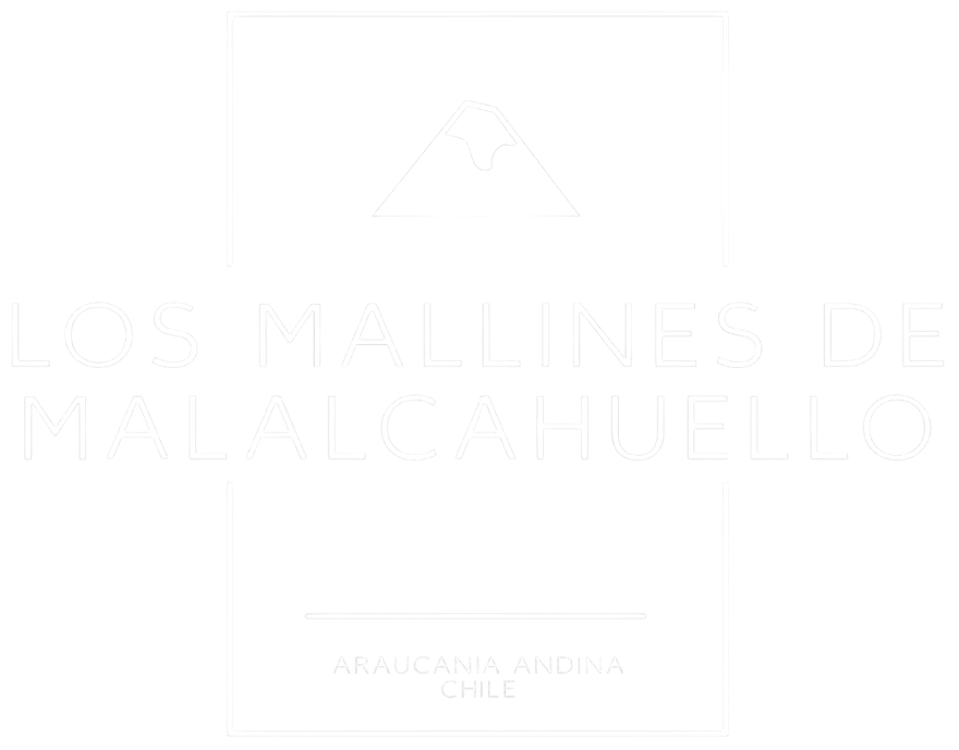 Cabañas en Malalcahuello